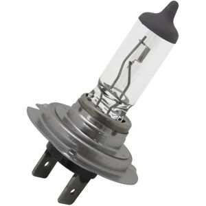 Ampoule Osram 12V 55W H7culot PX26D blanche