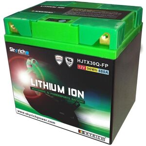 Batterie Skyrich Lithium Ion LTX30LHQ sans entretien