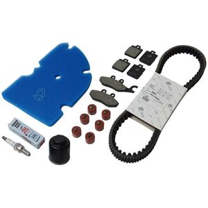 C4 Kit entretien Piaggio MP3 2010-14