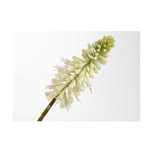 Fleur artificielle Kniphofia jade 71 cm blanc - Vert Autre Plastique Lou De Castellane 0.01x0.01 cm