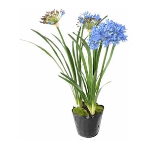 VERT ESPACE plante artificielle agapanthe en motte bleu 90 cm