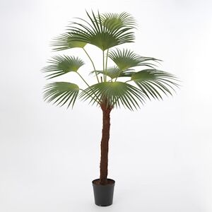 Palmier Palm royal 215 cm -  Vert Autre Plastique Lou De Castellane 0.01x0.01 cm