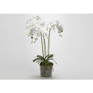 Orchidee Phalae Diva blanc 91 cm -   Tissu Lou De Castellane 0.01x0.01 cm