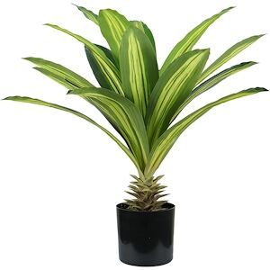 King Home Plante de Dracaena en polyethylene 19 feuilles vertes