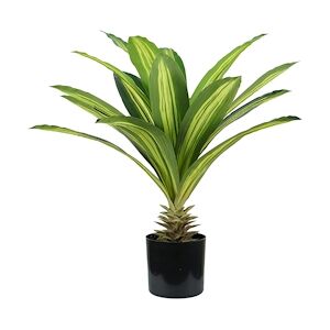 King Home Plante de Dracaena en polyéthylène 19 feuilles vertes