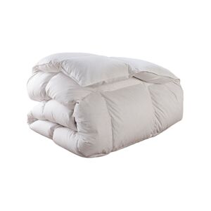 DODO Couette Thermoduv CHAUDE - 90% Duvet d'Oie - 240/260 - DODO