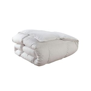 DUNLOPILLO Couette Saphir Tempérée - 80% duvet de canard - 240/260 - DUNLOPILLO