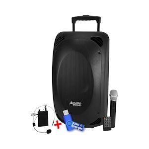 Enceinte Professionnel Portative 2x8