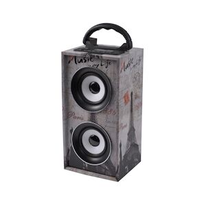 Ibiza Sound Mini-Colonne sur batterie 12W USB/SD/AUX/BLUETOOTH/FM spécial PARIS S150338A-J