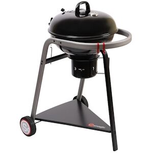 Somagic Barbecue Charbon 317470003