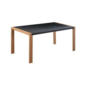 Table a manger de jardin Acier thermolaque Pieds en bois Trivanite 162 x 80 x 74 cm AUCUNE