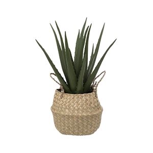 Atmosphera Plante artificielle Aloe vera dans Pot en Roseau H