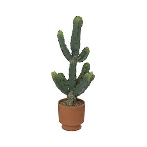 Atmosphera Plante artificielle Cactus dans Pot en Terre cuite H