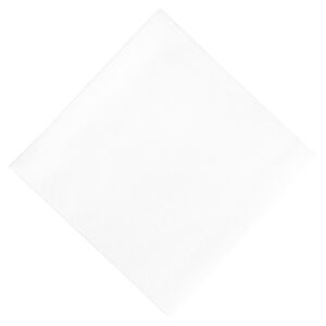 Duni Serviettes en Papier Dejeuner Ouate Blanches Compostables 400 mm   Lot de 750