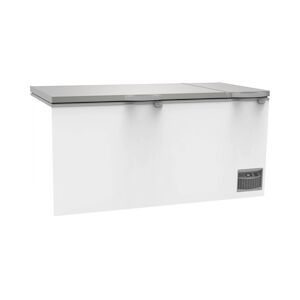 Iarp Congélateur coffre CF 900 SILVER, 2013x755x955mm, statique, couvercle INOX