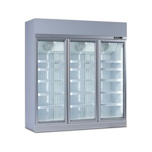 LMC EUROCOLD VISIONEG 190 3P GRIS / BLANC - Vitrines négatives à groue logé - LMC EUROCOLD - 4012025