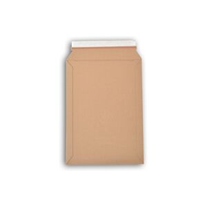 Lot de 1000 enveloppes carton WellBox 4 format 250x353 mm