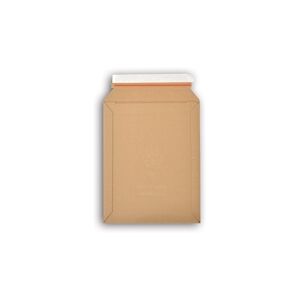 Lot de 100 enveloppes carton WellBox 2 format 215x290 mm