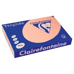 CLAIREFONTAINE Ramette de 500 feuilles papier couleur TROPHEE 80 grammes