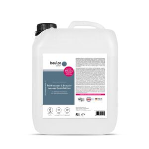 GGM GASTRO - BEULCO CLEAN Désinfection de l'eau potable et industrielle - 5L