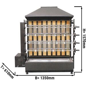 GGM GASTRO - Grill à poulet au charbon de bois - avec 4 brochettes pour 20 poulets