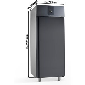 GGM GASTRO - Congélateur à glace PREMIUM PLUS - 745x870mm - 650 litres - avec 1 porte