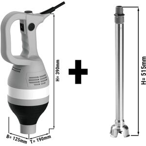 GGM GASTRO - Mixeur plongeant avec pied 450mm - 750 watts - 1 vitesse