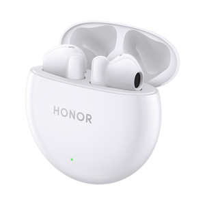 HONOR Earbuds X5