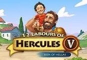 Kinguin 12 Labours of Hercules V: Kids of Hellas Steam CD Key