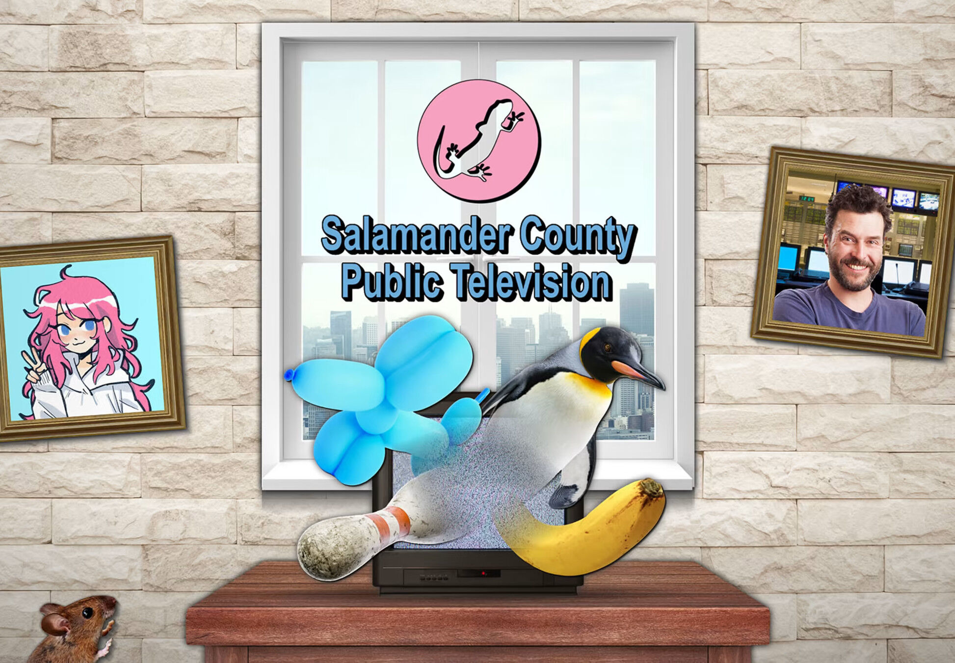 Kinguin Salamander County Public Television Steam CD Key