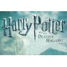Kinguin Harry Potter and the Deathly Hallows – Part 2 Origin CD Key
