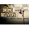 Kinguin Drone Delivery Steam CD Key