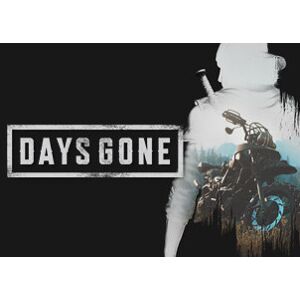 Kinguin Days Gone PlayStation 4 Account pixelpuffin.net Activation Link