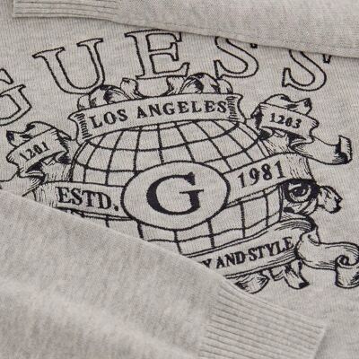 Pull Guess Britton Gris - Pull - Publicité Pull Guess Britton Gris - Pull - Publicité