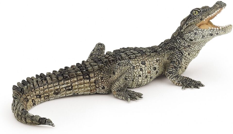 Bébé crocodile - PAPO - 50137