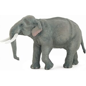 Eléphant d'Asie - PAPO - 50131