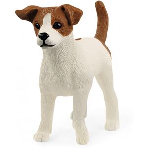 Jack Russell terrier