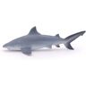 Requin bouledogue - PAPO - 56044