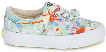 Baskets basses enfant Bonton SKATE ELAST Multicolore 27,29,30,31,32,33,34 filles