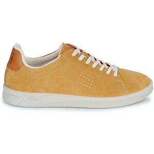 Baskets basses TBS FLAUBER Jaune 40,41,42 hommes - Publicité Baskets basses TBS FLAUBER Jaune 40,41,42 hommes - Publicité