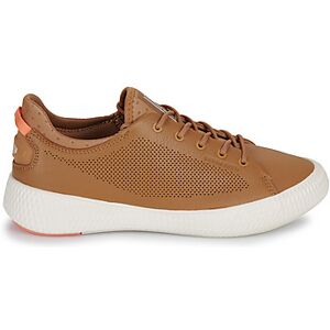 Baskets basses Palladium PALLANOVA LTH Marron 37,38,39 femmes - Publicité Baskets basses Palladium PALLANOVA LTH Marron 37,38,39 femmes - Publicité