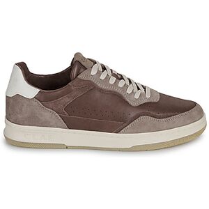 Baskets basses Clae HAYWOOD Marron 41,42,43,44 hommes - Publicité Baskets basses Clae HAYWOOD Marron 41,42,43,44 hommes - Publicité