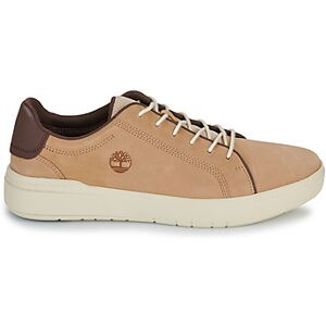 Baskets basses Timberland SENECA BAY Marron 41,42,43,44 hommes - Publicité Baskets basses Timberland SENECA BAY Marron 41,42,43,44 hommes - Publicité