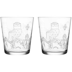 Iittala - Taika Verre à boire, 38 cl (lot de 2)