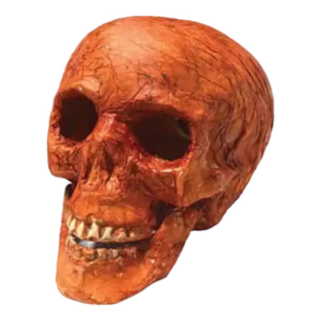 Crâne lumineux 16cm