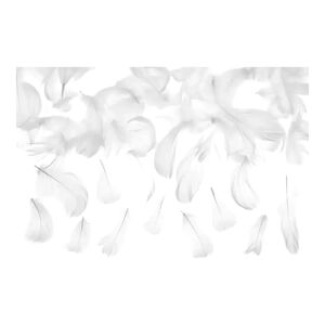 Party Deco Plume de decoration - Blanc - 3g