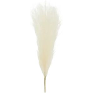 Party Deco Herbes de Pampa artificielle couleur Creme - 10x45 cm