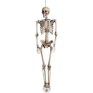 Squelette Suspendu 160cm pour Decoration Halloween