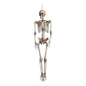 Squelette Suspendu 160cm pour Décoration Halloween