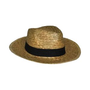 Chapeau en paille style PANAMA